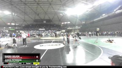 45-47 lbs 1st Place Match - Aaron Peterson, Forks Wrestling Club vs Raiden Wilson, Mat Demon Wrestling Club