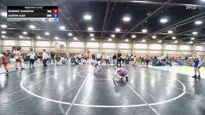 110 lbs Rr Rnd 1 - Dominic Giannoni, Revival Jokers - BK8 vs Austin Alex, South Hills Wrestling Academy - BK8