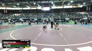 132 lbs Champ. Round 1 - Ava Price, Thunder Ridge vs Brooklynn Deim, Wasatch