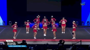 Valley All-Stars - Wildstars [2025 L3 Senior Coed - Small Prelims] 2025 The D2 Summit