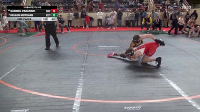 145_B lbs 3rd Place - Gabriel Paraniuk, Central Valley vs Kellen McPeake, Keystone Oaks