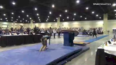 Brynn Torry - Vault, World Class #156 - 2021 USA Gymnastics Development Program National Championships