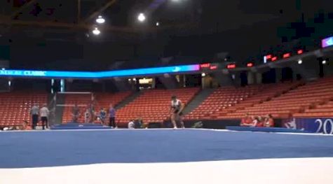 Brestyans (Alicia Sacramone)