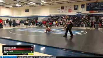 106 lbs Champ. Round 2 - Bronson Shea, Dover-Eyota vs Zack Carr, Park