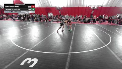 14U Boys - 132 lbs Semis - Everett Zeitler, Aviators Wrestling vs Matthew Mead, Minnesota