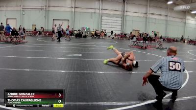 157 lbs Cons. Round 2 - Andre Gonzalez, Apple Wrestling Academy vs Thomas Caufaglione, Funky Panda