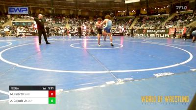 125 lbs Quarterfinal - Maximus Pearch, NWo Wrestling Club vs Angel Cejudo Jr., Valiant Prep