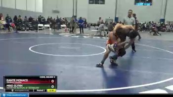 149 lbs Cons. Round 3 - Mike Glynn, Rochester Institute Of Technology vs Dante Monaco, Ursinus College