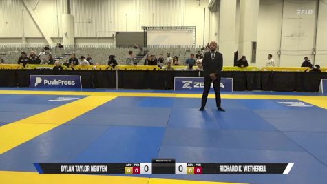 Richard K. Wetherell vs Dylan Taylor Nguyen 2025 World IBJJF Jiu-Jitsu No-Gi Championship