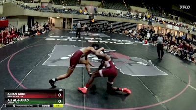 133 lbs Semis & 1st Wrestleback (8 Team) - Aidan Aure, Menomonie vs Ali Al-Hamad, Anoka