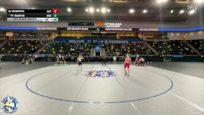 106 lbs 1st Place Match - AJ Woerpel, Hortonville vs Ty Martin, Don Bosco