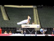 Akash Modi - 2011 Visa Championships - Pommel Horse