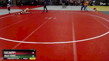 45 lbs Quarterfinals (8 Team) - Colt Gambill, Grand Rapids vs Micah Hoppe, Marshall/Lakeview/RTR