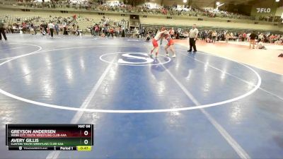 100 lbs Cons. Round 4 - Avery Gillis, Clinton Youth Wrestling Club-AAA vs Greyson Andersen, Webb City Youth Wrestling Club-AAA