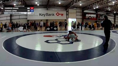 79 kg Champ. Round 2 - Cameron Adams, Michigan Wrestling Club vs Dominic Lopez, Southern Illinois Regional Training Center
