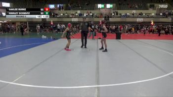 100 lbs Round 5 - Kinsley Schmutz, Chippewa Elite vs Oaklee Burke, Immortal Athletics WC