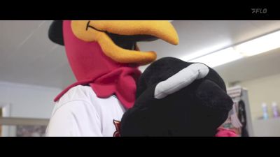 Replay: Home - 2024 PaddleHeads vs Hawks | Jul 6 @ 7 PM