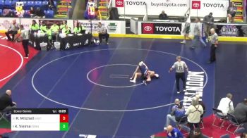 124 lbs Consolation - Ryan Mitchell, East Stroudsburg vs Kai Vielma, Connellsville