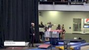 Tenley Bormann - Women's Group, TNT Gymnastics - 2021 Women's Xcel Region 4 Championships