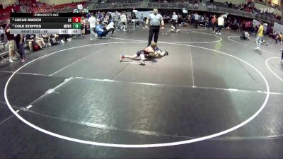 65 lbs Semifinal - Cole Steffes, Midwest Destroyers Wrestling Club vs Lucas Mauch, Boone Central