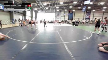 120 lbs Rr Rnd 1 - Dominic Cadwallader, Division-1 vs Eli Harrigan, Sly Fox Wrestling Club
