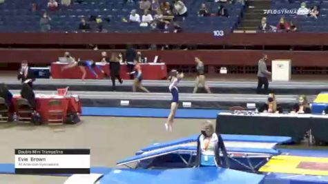 Evie  Brown  - Double Mini Trampoline, All American Gymnastics  - 2021 Region 3 T&T Championships