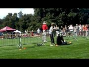 The 2011 Stanford Invitational Highlights