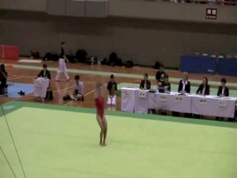 2011 International Junior Amelia Hundley FX (AA)