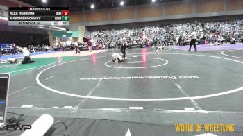 49 lbs Round Of 16 - Alex Herndon, American Dream vs Mason Brockway, Summit Wrestling Academy