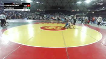 Boys 3A 132 lbs Cons. Round 5 - Sam DeHan, Auburn Mountainview vs Quinton O Bannon, University