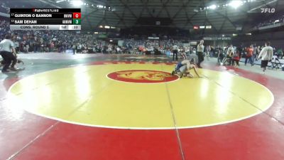 Boys 3A 132 lbs Cons. Round 5 - Sam DeHan, Auburn Mountainview vs Quinton O Bannon, University