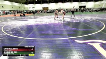 106 lbs Cons. Round 1 - Cayden Zehren, Luxemburg-Casco vs Jake Mccubbins, Millard South