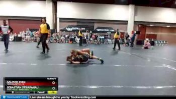 91 lbs Round 1 (6 Team) - Aaliyah Svec, Team Palmetto vs Sebastian Stsiapanau, Steel Valley Renegades