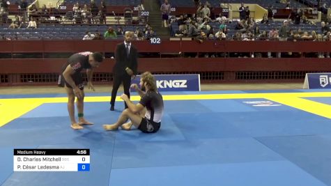 David Charles Mitchell vs Paulo César Ledesma 2024 Pan IBJJF Jiu-Jitsu No-Gi Championship