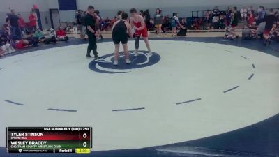 250 lbs Quarterfinal - Tyler Stinson, Spring Hill vs Wesley Braddy, Cheatham County Wrestling Club