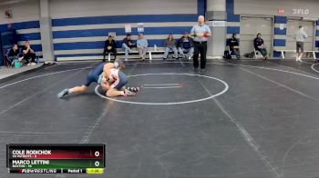 92 lbs Round 1 (8 Team) - Marco Lettini, Buxton vs Cole Rodichok, VA Patriots