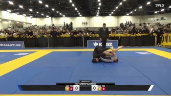 Ash Williams vs Steven Gomez 2025 World IBJJF Jiu-Jitsu No-Gi Championship