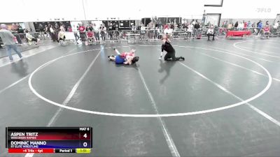 130 lbs Round 3 - Aspen Tritz, Wisconsin Rapids vs Dominic Manno, RT Elite Wrestling