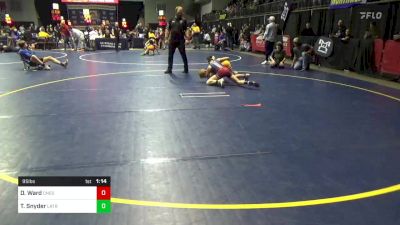95 lbs 5th Place - Dexter Ward, Chestnut Ridge vs Tristan Snyder, Latrobe