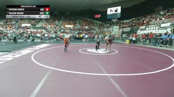 132 lbs Quarterfinal - Talon Wark, Colby HS vs Storm Rieck, Girard HS