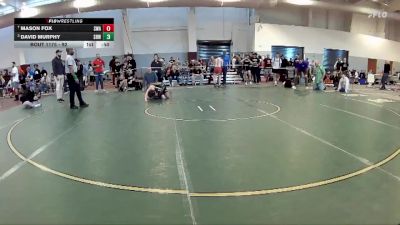 92 lbs Cons. Round 3 - Mason Fox, Scanlan Wrestling Academy vs David Murphy, Virginia Team Predators