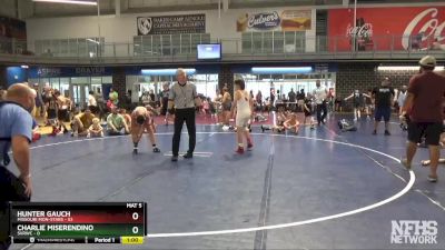 110 lbs Quarters & 1st Wb (16 Team) - Hunter Gauch, Missouri Mon-Stars vs Charlie Miserendino, SVRWC