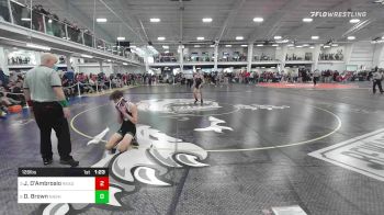 126 lbs Quarterfinal - Jayden D'Ambrosio, Reading vs Dylan Brown, Nashoba