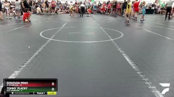 68 lbs Round 2 (4 Team) - Donovan Peno, FL Scorpions vs Tommy Placky, Mat Warriors