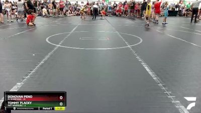 68 lbs Round 2 (4 Team) - Donovan Peno, FL Scorpions vs Tommy Placky, Mat Warriors