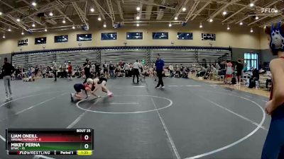 88 lbs Round 7 (8 Team) - Liam Oneill, Virginia Patriots vs Mikey Perna, BTWC