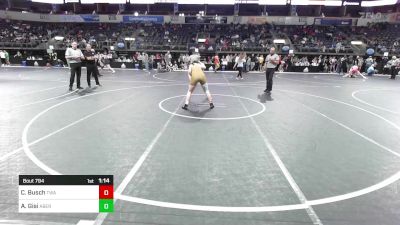 174 lbs Consi Of 8 #2 - Cameron Busch, Thoroughbred Wrestling Academy vs Ayden Gisi, Aberdeen