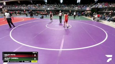 6A 132 lbs Quarterfinal - Haley Pitts, Katy vs Scout Carrell, Coppell