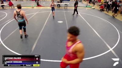 215 lbs Quarterfinal - Antonio Palmer, NE vs Landon Odegard, MN