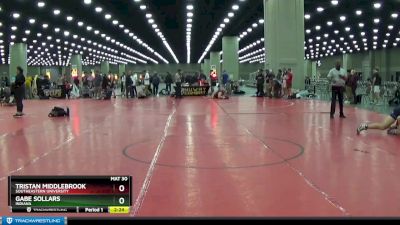 197 lbs Semifinal - Tristan Middlebrook, Southeastern University vs Gabe Sollars, Indiana